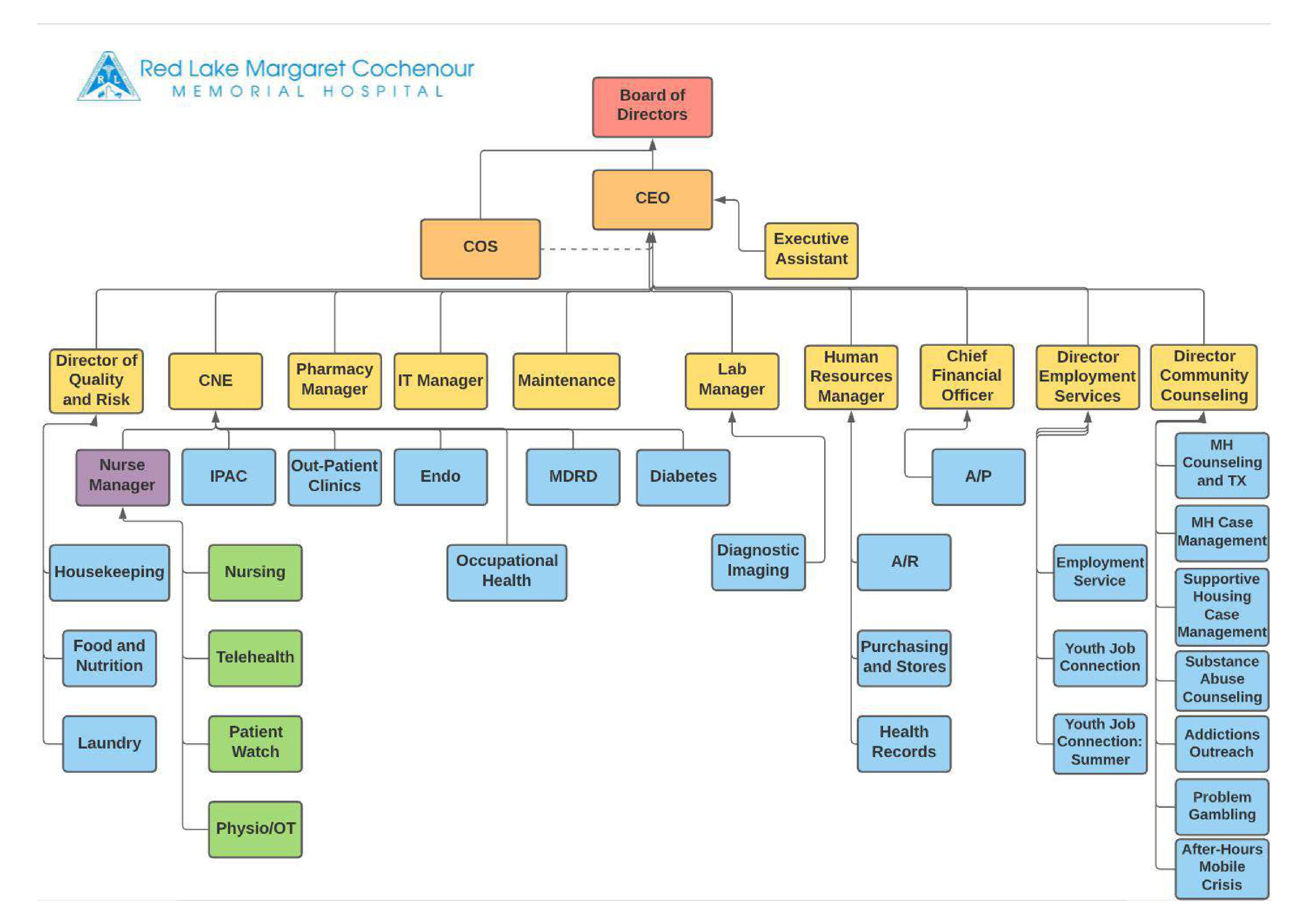 Hospital Nursing Organizational Chart